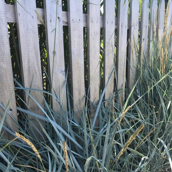 Meet your Posher, Sue - Picture 1 of 1